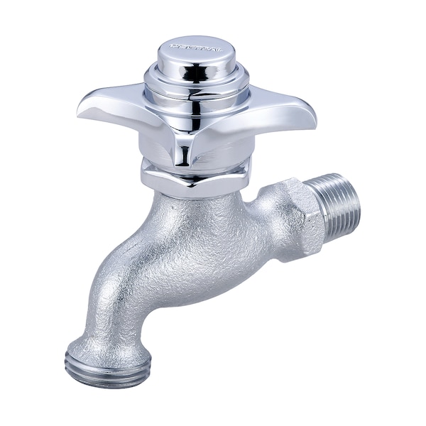 Self-Close Wallmount Faucet, NPT, Single Hole, Rough Chrome